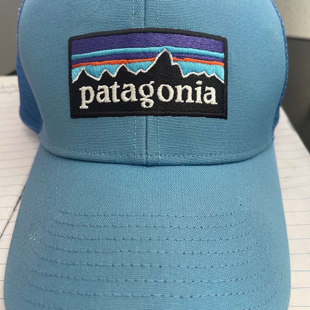 Patagonia Light Blue Mesh Cap